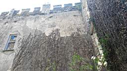 acastle 100020.jpg